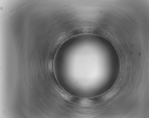 X0000060740336200511171103