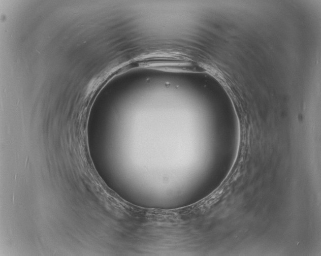 X0000060740337200511171102