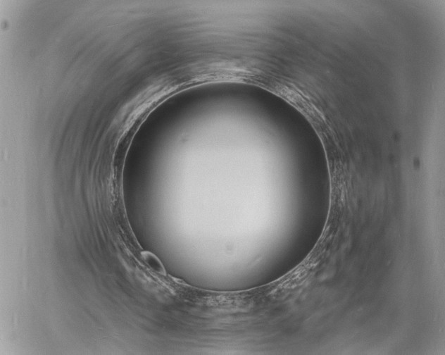 X0000060740338200511171102