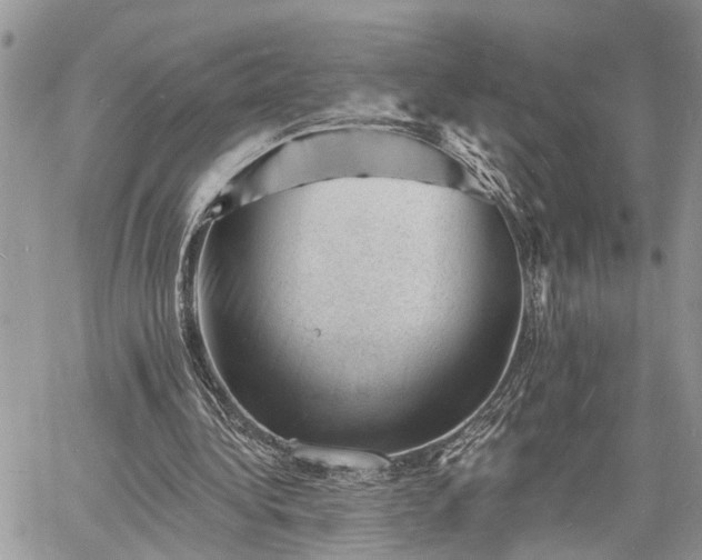 X0000060740340200511171102