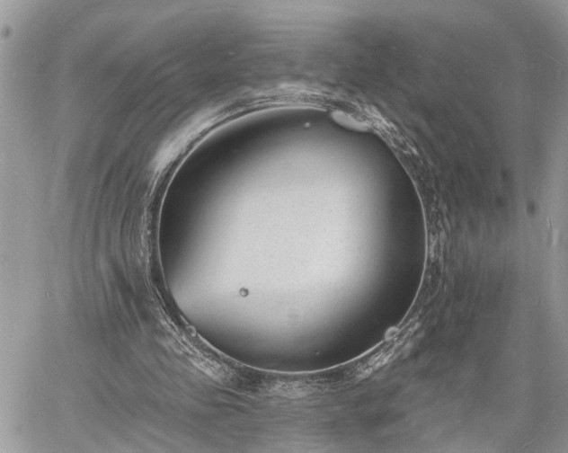 X0000060740341200511171103