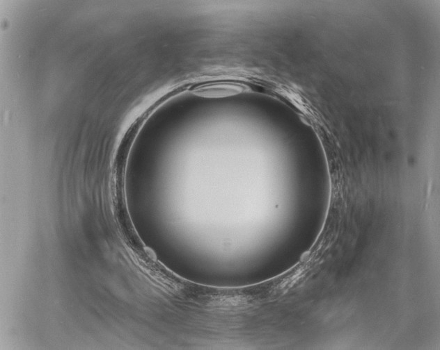 X0000060740342200511171103