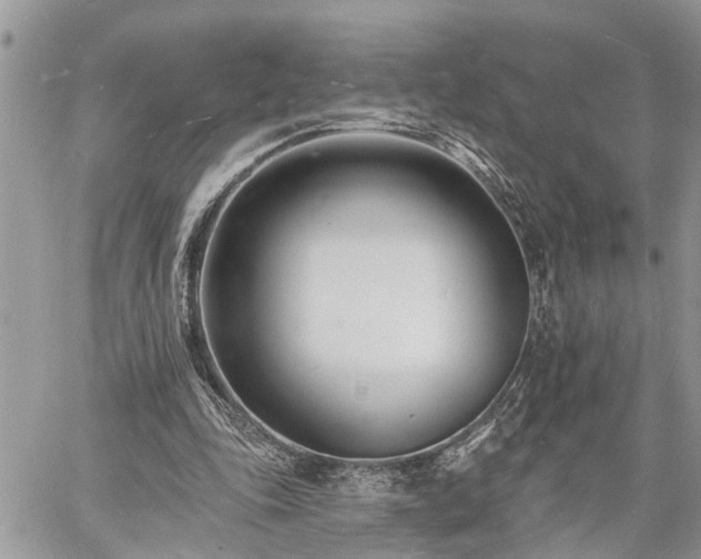 X0000060740343200511171103