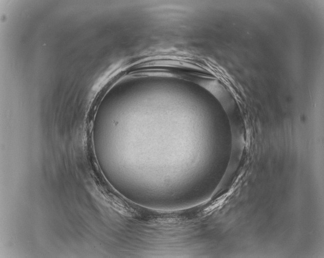 X0000060740344200511171103