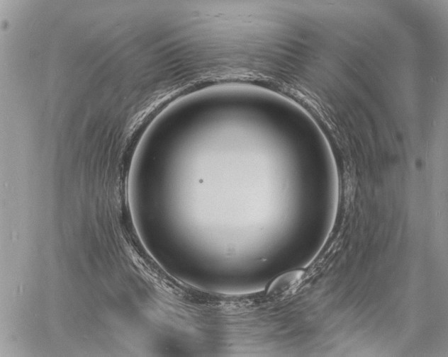 X0000060740345200511171103