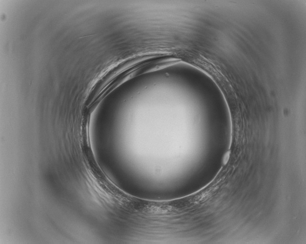 X0000060740346200511171103