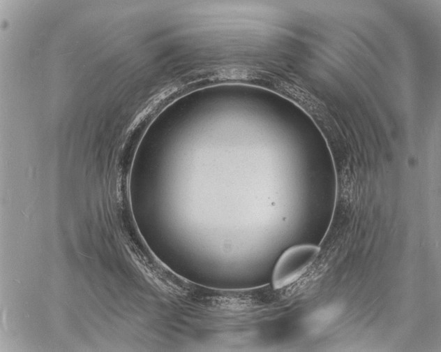 X0000060740347200511171103