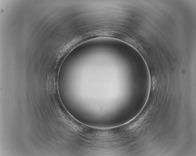 X0000060740349200511171103