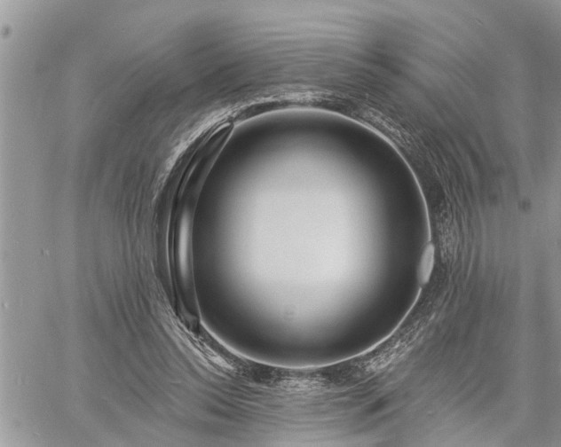 X0000060740350200511171103