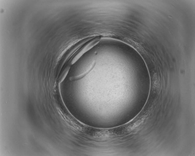 X0000060740351200511171103