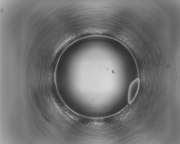 X0000060740352200511171103