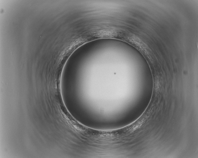 X0000060740353200511171103