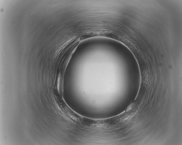 X0000060740356200511171103