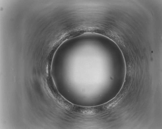 X0000060740358200511171103