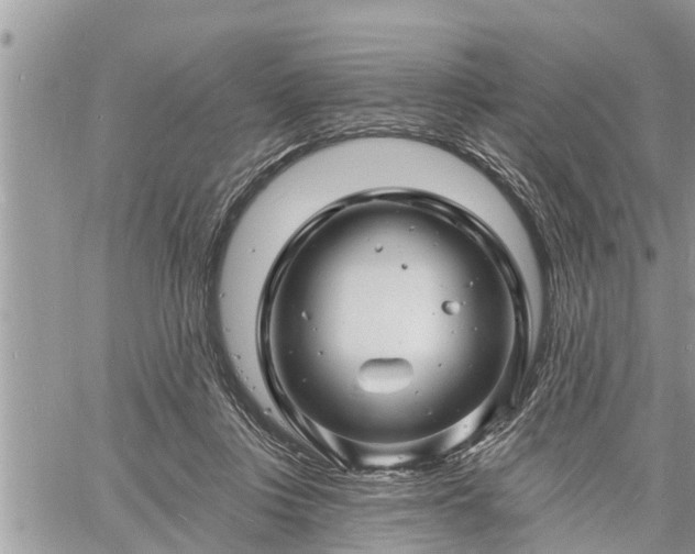 X0000060740359200511171103