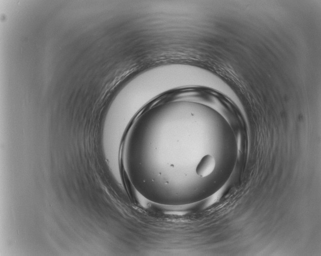 X0000060740360200511171103