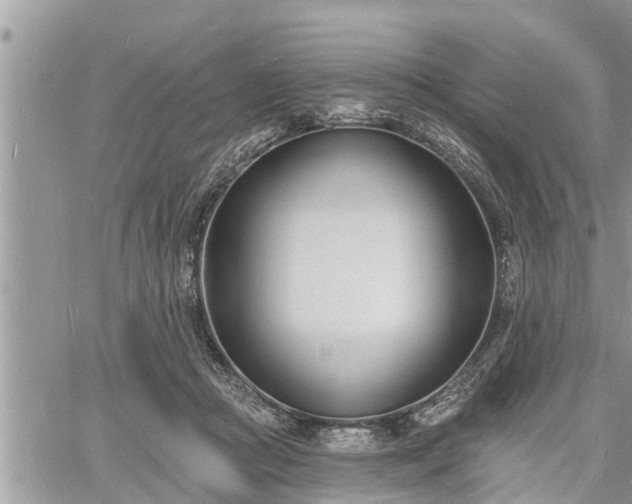 X0000060740361200511171103