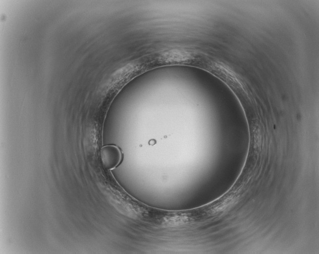 X0000060740362200511171103