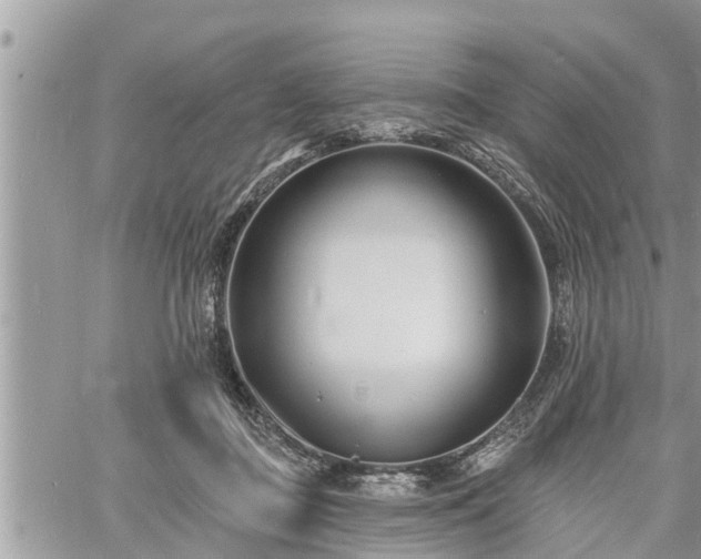 X0000060740363200511171103