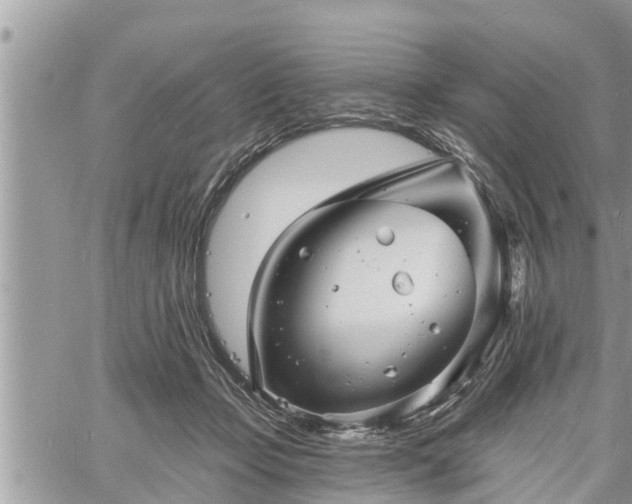 X0000060740365200511171103