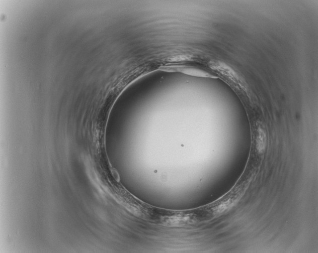 X0000060740366200511171103