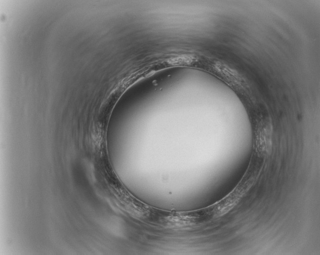 X0000060740367200511171103