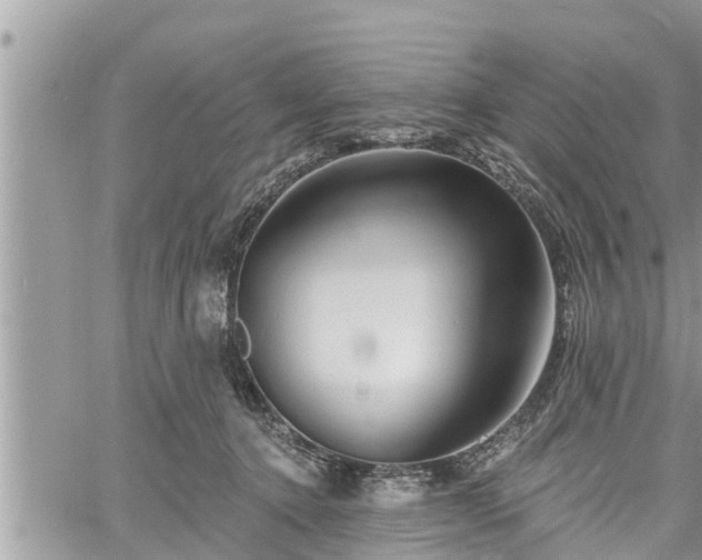 X0000060740368200511171103