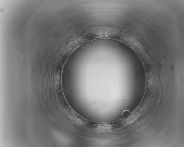 X0000060740369200511171103