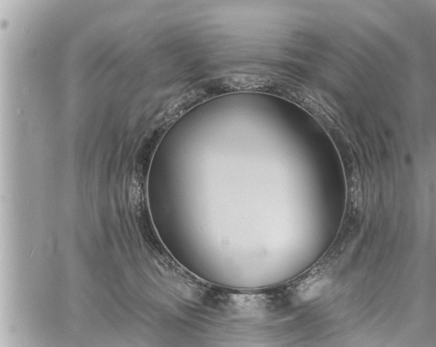 X0000060740371200511171103