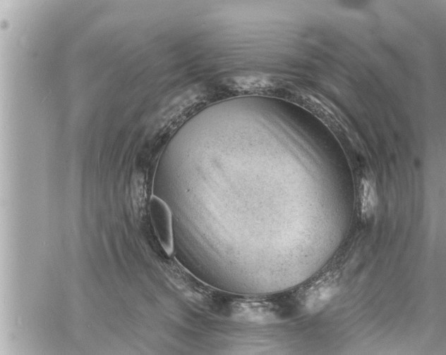 X0000060740372200511171103