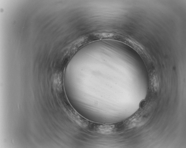 X0000060740373200511171103