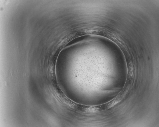 X0000060740375200511171103