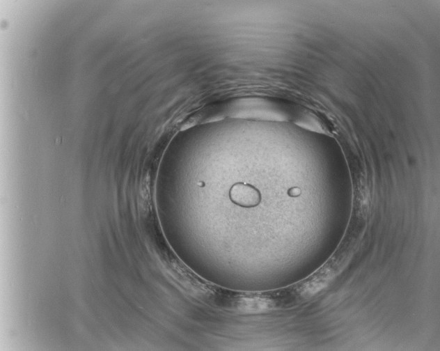 X0000060740376200511171103