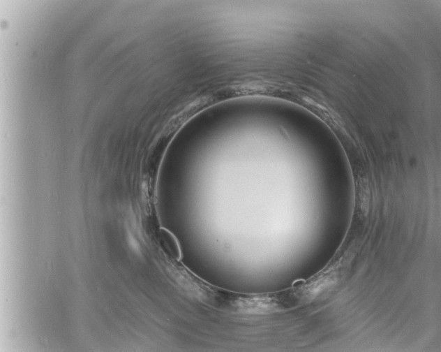 X0000060740378200511171103