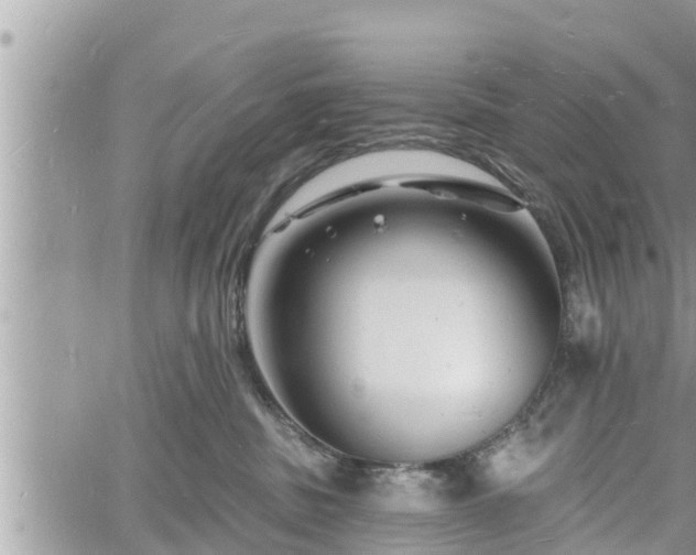 X0000060740379200511171103