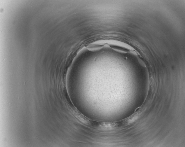 X0000060740381200511171103