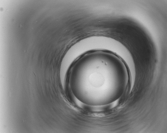 X0000060740383200511171103