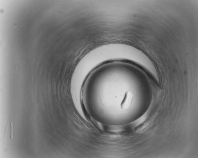 X0000060740384200511171103