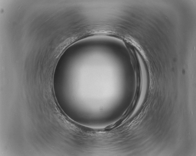 X0000060740385200511171102