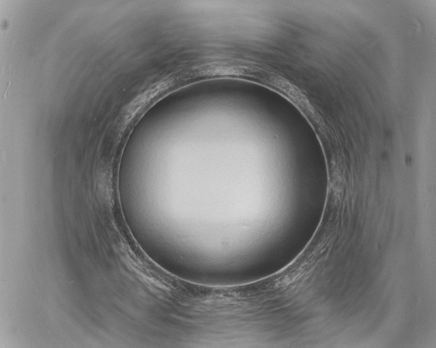 X0000060740386200511171102