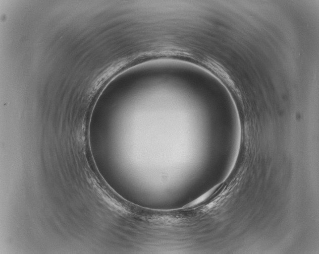 X0000060740389200511171102