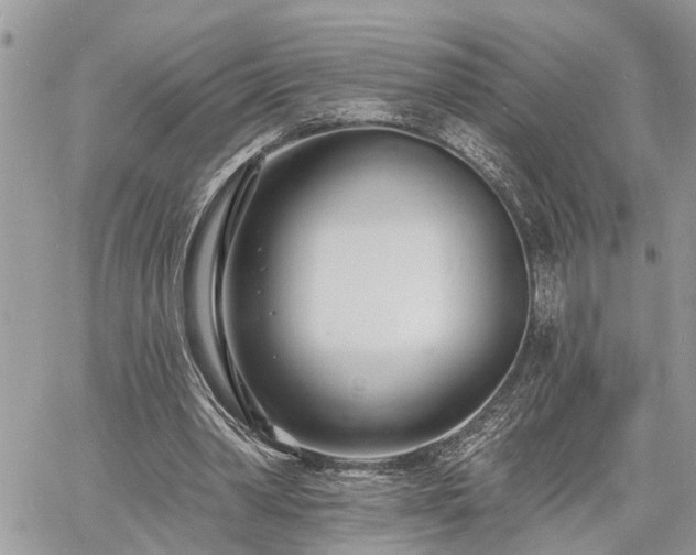 X0000060740390200511171102