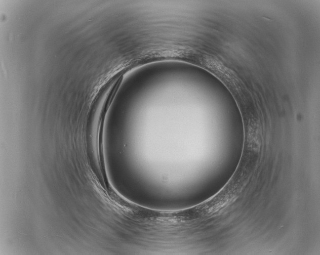 X0000060740394200511171102