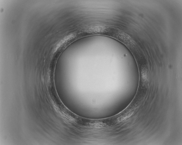 X0000060740396200511171102