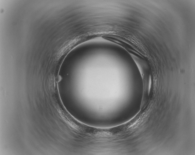 X0000060740397200511171102