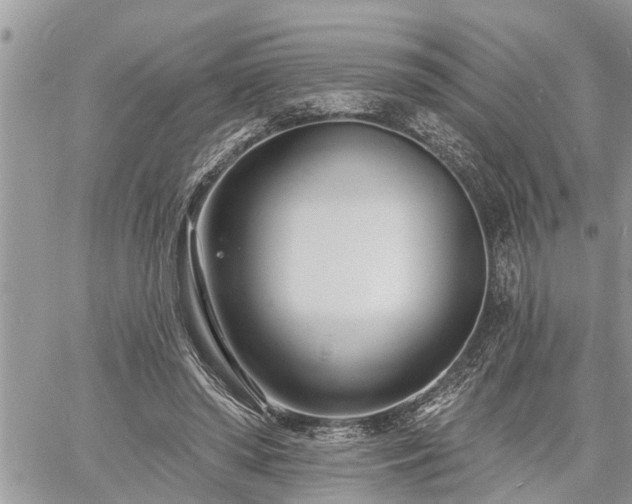 X0000060740398200511171102