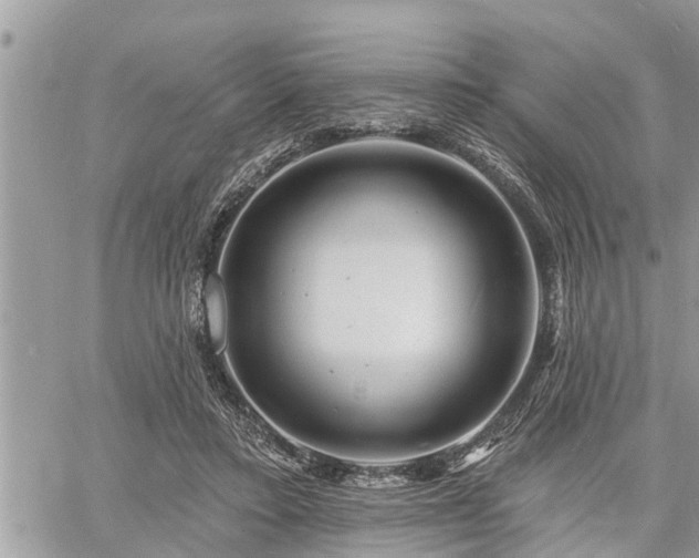 X0000060740403200511171102