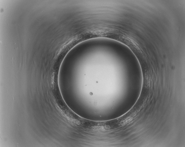 X0000060740404200511171102