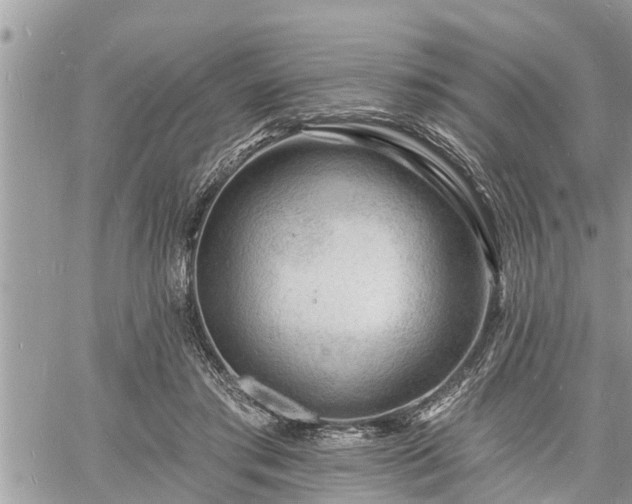 X0000060740405200511171102