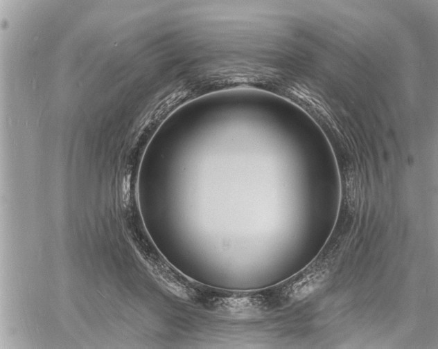 X0000060740406200511171102